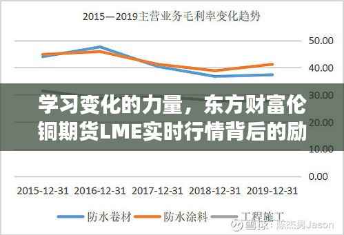 学习变化的力量,东方财富伦铜期货LME实时行情背后的励志故事与成长之旅