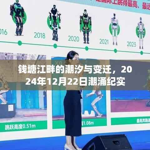 钱塘江畔潮汐变迁纪实,潮涌的见证者,2024年12月22日纪实