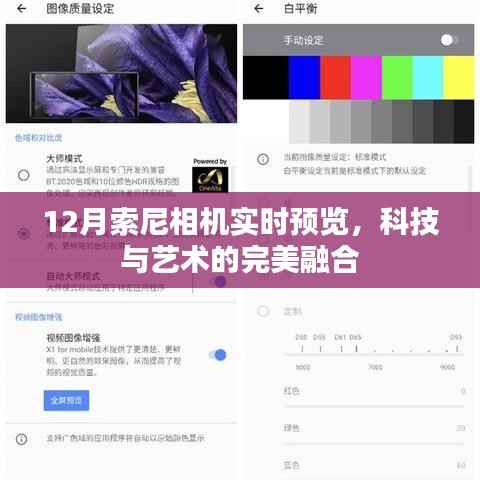 科技与艺术融合,索尼相机实时预览展现魅力