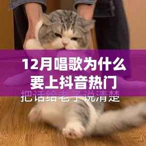 抖音热门,为何十二月歌唱更受欢迎?