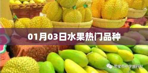 01月热门水果品种大盘点