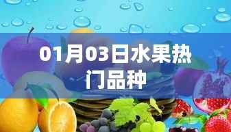 01月热门水果品种大盘点