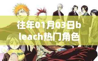 Bleach热门角色盘点,历年人气角色回顾