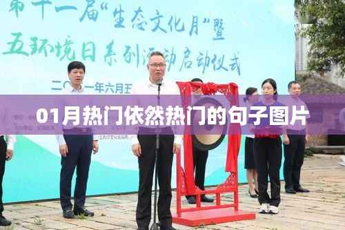 热门句子图片,一月流行趋势抢先看