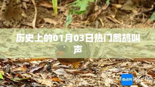 鹧鸪啼鸣日,历史上的今天回顾