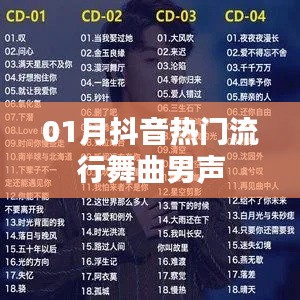 抖音热门流行舞曲男声大放送,一月精选曲目来袭!