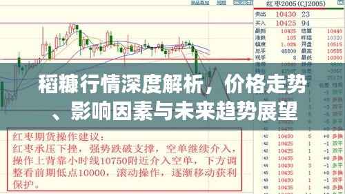 稻糠行情深度解析,价格走势、影响因素与未来趋势展望