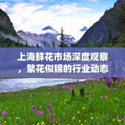 上海鲜花市场深度观察,繁花似锦的行业动态分析