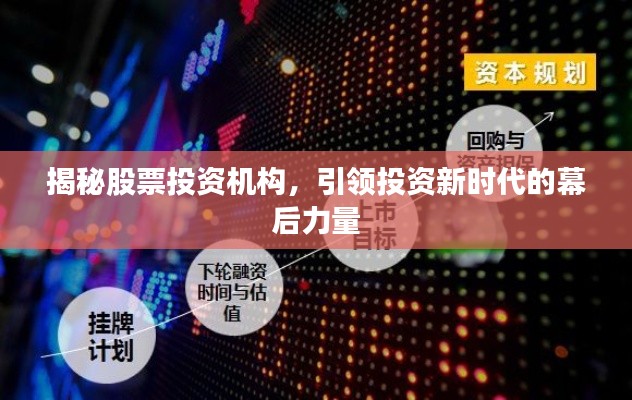 揭秘股票投资机构,引领投资新时代的幕后力量