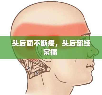 公司概况 第198页