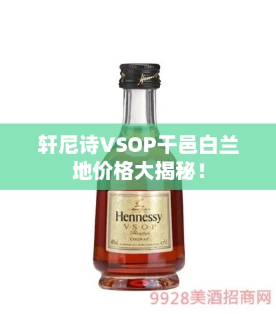 轩尼诗VSOP干邑白兰地价格大揭秘!