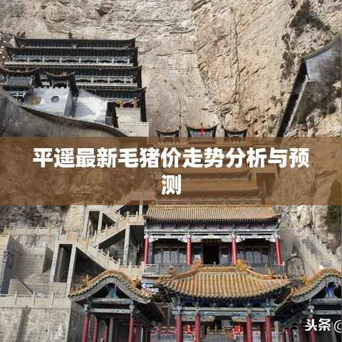 平遥最新毛猪价走势分析与预测