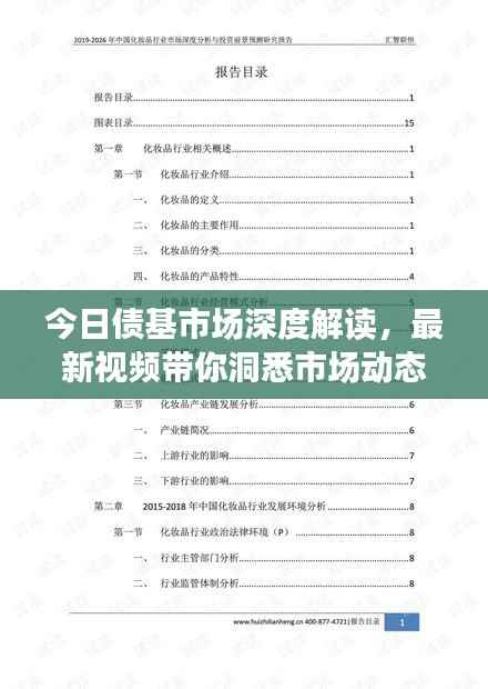 今日债基市场深度解读,最新视频带你洞悉市场动态与投资趋势