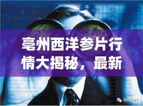 亳州西洋参片行情大揭秘,最新市场动态分析!