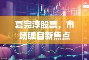 夏完淳股票,市场瞩目新焦点