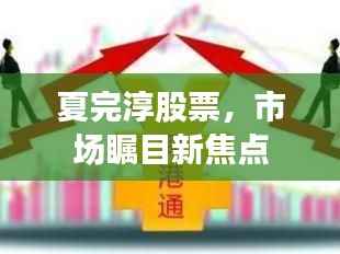 夏完淳股票,市场瞩目新焦点