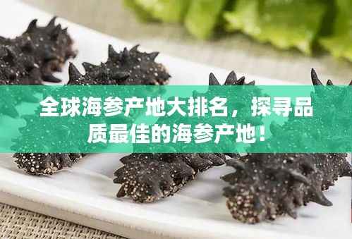 全球海参产地大排名,探寻品质最佳的海参产地!
