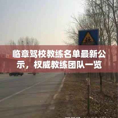 临章驾校教练名单最新公示,权威教练团队一览