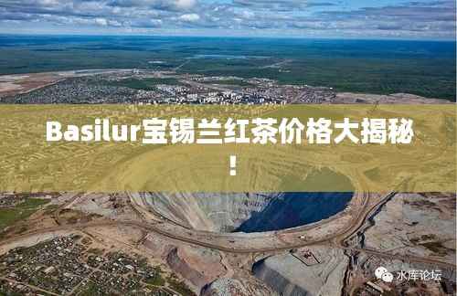 Basilur宝锡兰红茶价格大揭秘!