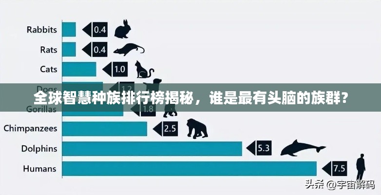 全球智慧种族排行榜揭秘,谁是最有头脑的族群?