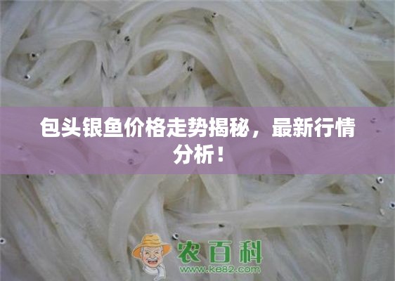 包头银鱼价格走势揭秘,最新行情分析!
