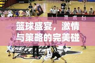 篮球盛宴,激情与策略的完美碰撞!