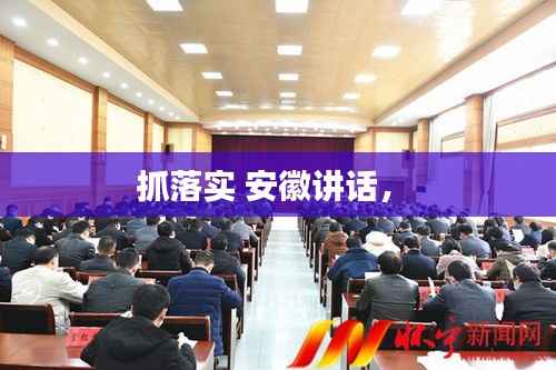 抓落实 安徽讲话,