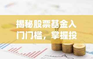 揭秘股票基金入门门槛,掌握投资策略,轻松开启投资之旅!
