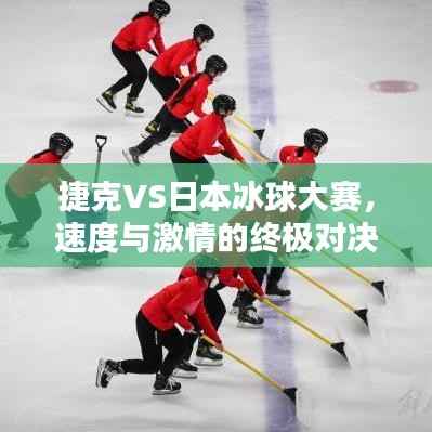 捷克VS日本冰球大赛,速度与激情的终极对决!