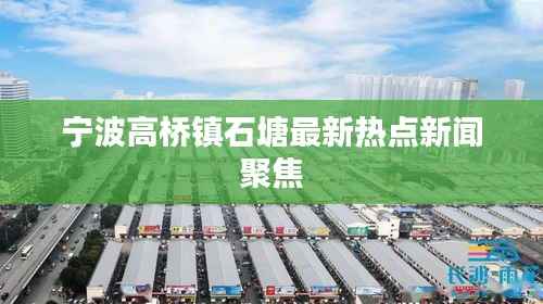 宁波高桥镇石塘最新热点新闻聚焦