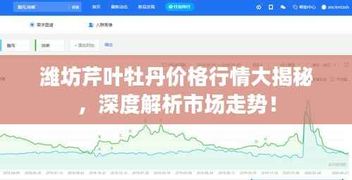 潍坊芹叶牡丹价格行情大揭秘,深度解析市场走势!