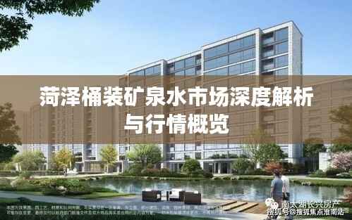 菏泽桶装矿泉水市场深度解析与行情概览