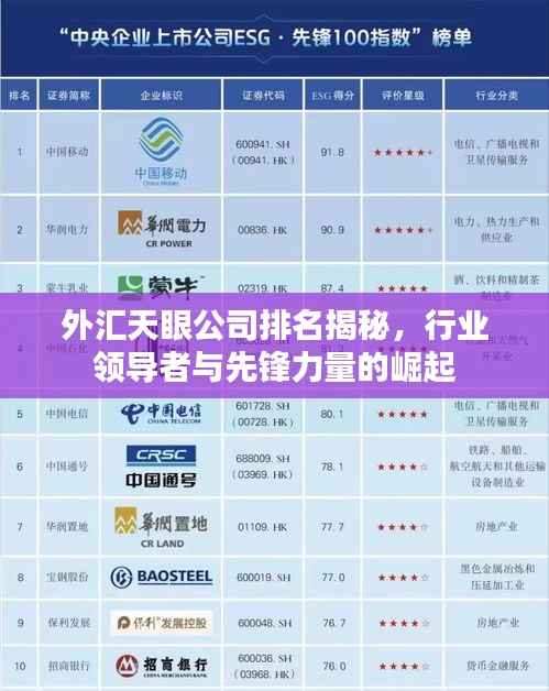 外汇天眼公司排名揭秘,行业领导者与先锋力量的崛起