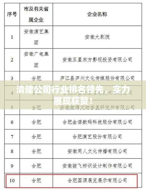 清建公司行业排名领先,实力展现获赞!