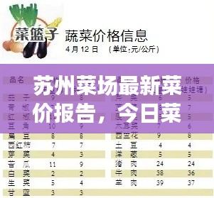 苏州菜场最新菜价报告,今日菜价查询速递