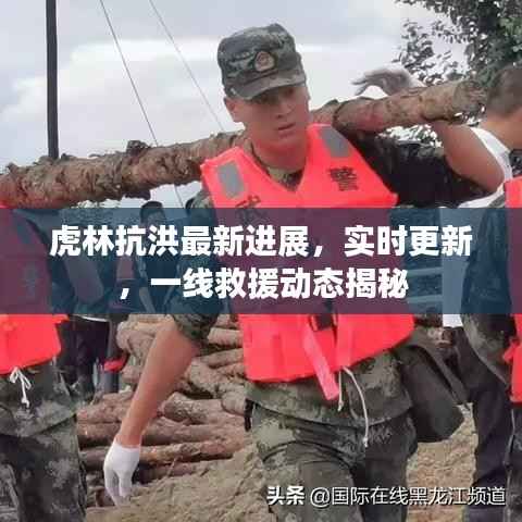 虎林抗洪最新进展,实时更新,一线救援动态揭秘