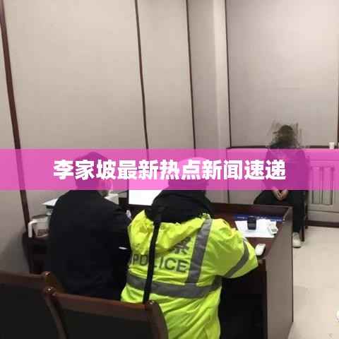 李家坡最新热点新闻速递