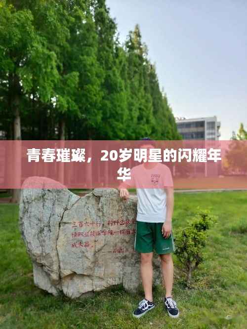 青春璀璨,20岁明星的闪耀年华