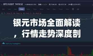 银元市场全面解读,行情走势深度剖析