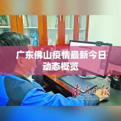 广东佛山疫情最新今日动态概览