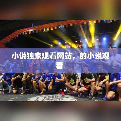 小说独家观看网站,的小说观看
