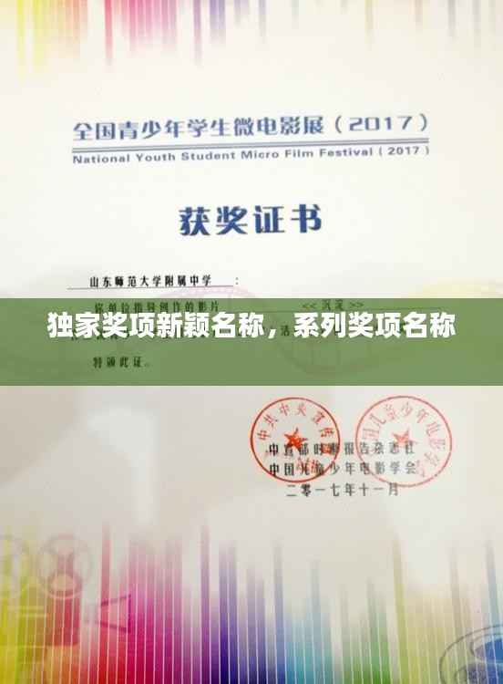 独家奖项新颖名称,系列奖项名称