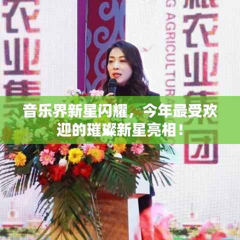 音乐界新星闪耀，今年最受欢迎的璀璨新星亮相！