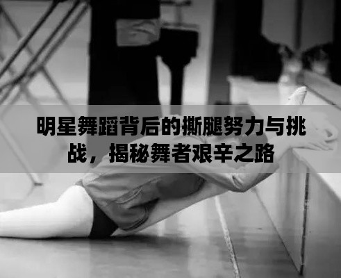 明星舞蹈背后的撕腿努力与挑战,揭秘舞者艰辛之路