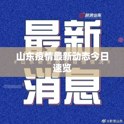 山东疫情最新动态今日速览