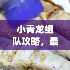 小青龙组队攻略,最新视频教你玩转游戏!