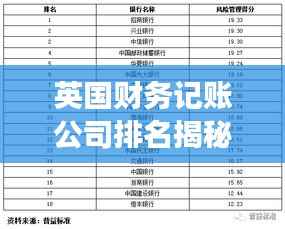 英国财务记账公司排名揭秘,行业深度洞察报告