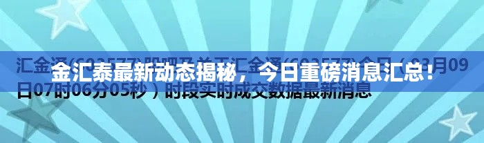 金汇泰最新动态揭秘,今日重磅消息汇总!
