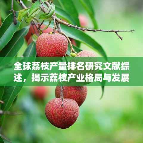 全球荔枝产量排名研究文献综述,揭示荔枝产业格局与发展趋势